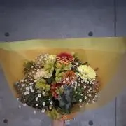 ポムポムプリンの画像