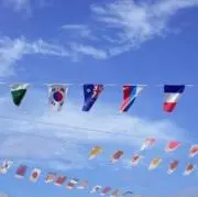 せさるりの画像