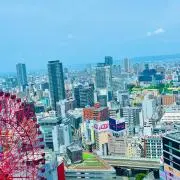 taroの画像