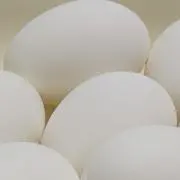 KEの画像