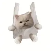 ぬこの画像