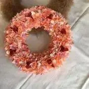 Manaの画像
