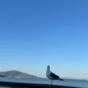 Yamadaの画像