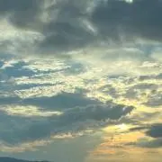 由の画像