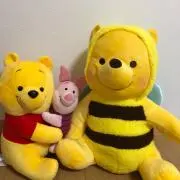 ぷーの画像