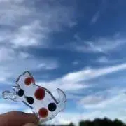 アマリリスの画像
