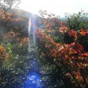 紗渚の画像