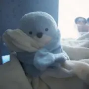 すずめちゃんの画像
