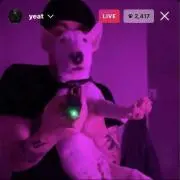 yayaの画像