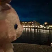 Riaの画像