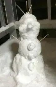 ササミです※引っ越し大体完了！の画像