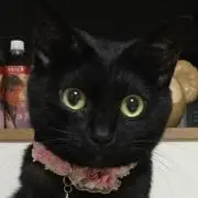 くみらん
