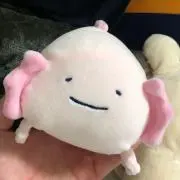 まつだ