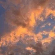 寿の画像