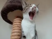 ふうな(プロフご一読下さい)の画像