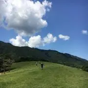 miiy000