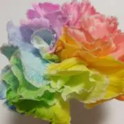 dskh301の画像