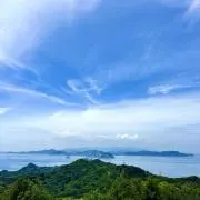 mochiの画像