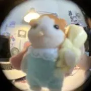 ももの画像