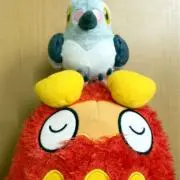 織加の画像