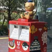コアラの画像