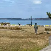 しーさんの画像