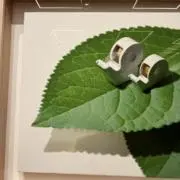 雷ちゃん