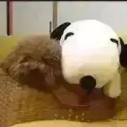 ふたみん　再開致しました(^^)の画像