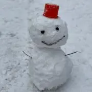 みーの画像