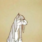 ぴの
