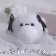 ちょむたんの画像