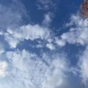㍉の画像