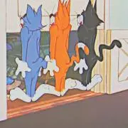 sakasaの画像