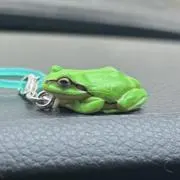まるの画像