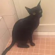 くっちゃん