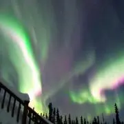 みーの画像