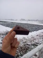 はちみつ