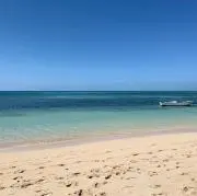 みっふぃーの画像