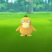 ゆこつこ☆の画像