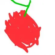 SA