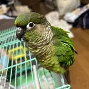 ゆーさんの画像