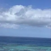 美雨の画像