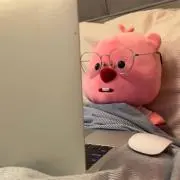 うんはの画像