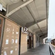 elephantQの画像