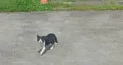 KIYAの画像