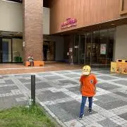 ＷＢ【まとめて購入OK】の画像