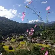 おさの画像