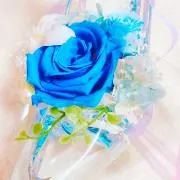 芽