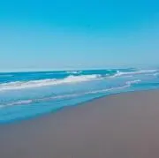 hiの画像