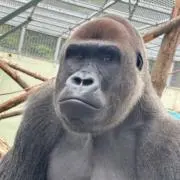 じょーじの画像